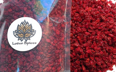 Incredible Health Benefits – Barberries (Zereshk)