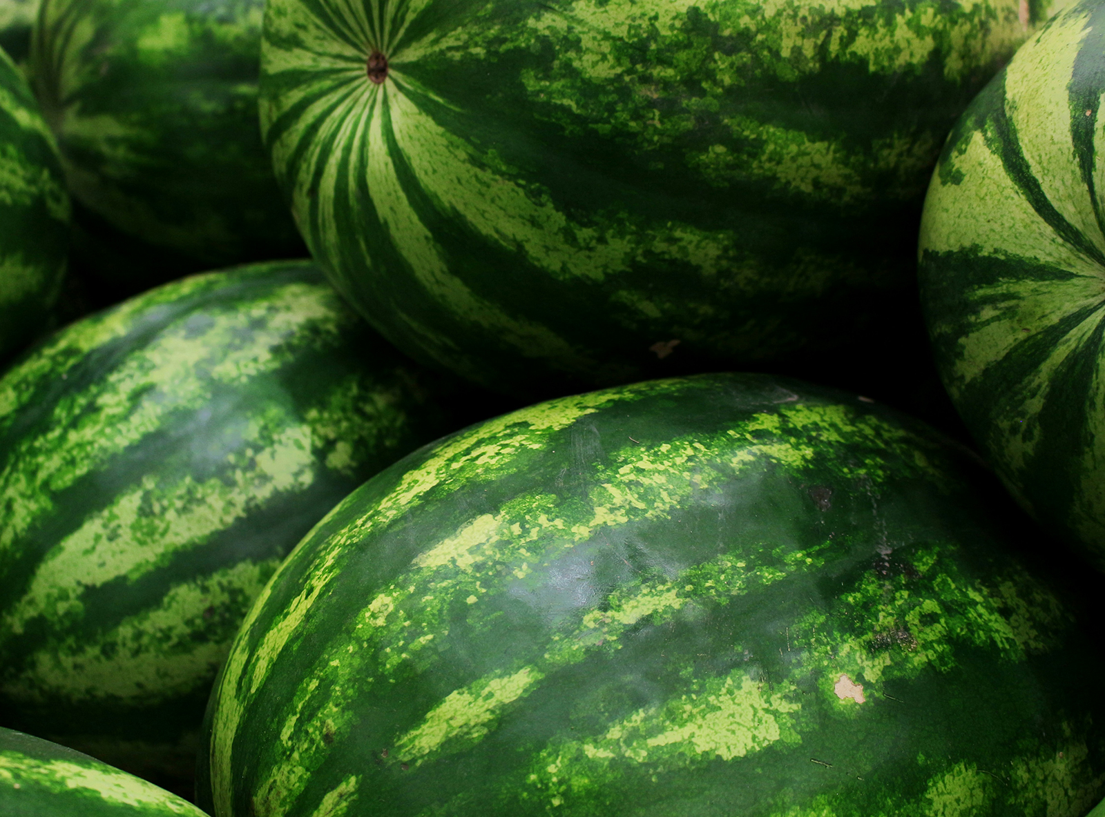 Nemo enim ipsam voluptatem quia voluptas sit