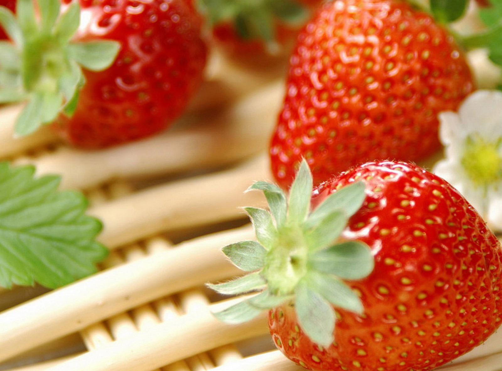 Odio condimentum molestie nam enim Morbi