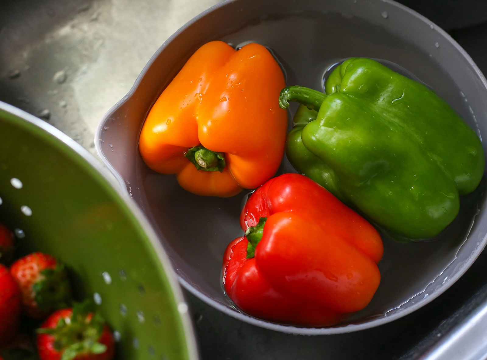 From its medieval origins to the digital era, learn